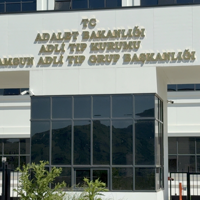 Ihlamur ağacından düşen yaşlı adam hayatını kaybetti