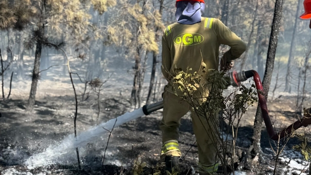 Kastamonu'daki orman yangını söndürüldü