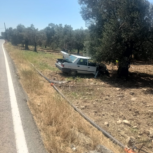 Balıkesir'de otomobil zeytin ağacına çarptı: 2 yaralı