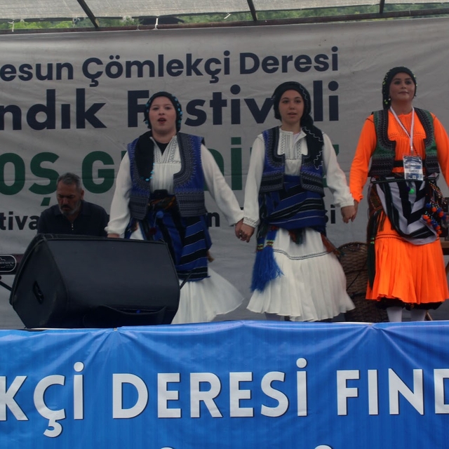 Fındık üreticileri hasat öncesi festivalde buluştu
