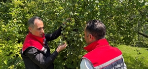 Kars'ta meyveciliğe güç katacak ziyaret: Enver Aydın'dan Sarıkamış'ta verim...