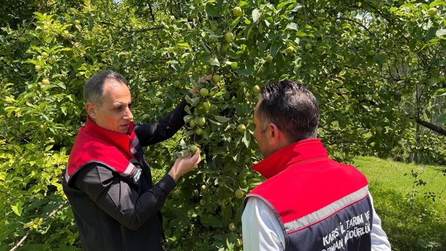 Kars'ta meyveciliğe güç katacak ziyaret: Enver Aydın'dan Sarıkamış'ta verimli üretim için 5 altın tavsiye