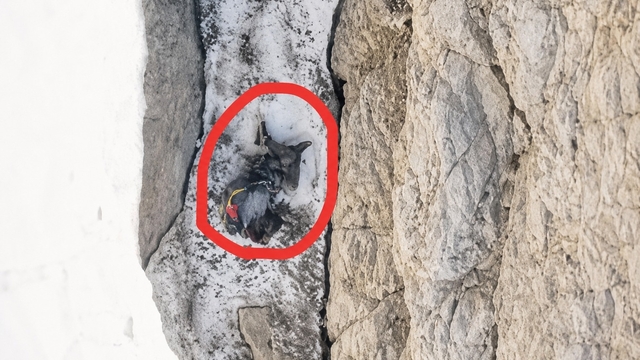 Ölen dağcının, 200 metre sürüklendikten sonra ipte asılı kaldığı bölge dronla görüntülendi