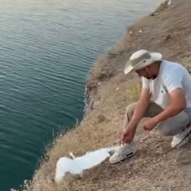 Malatya'da oltaya balık yerine martı takıldı
Balık tutmak isterken oltasına...