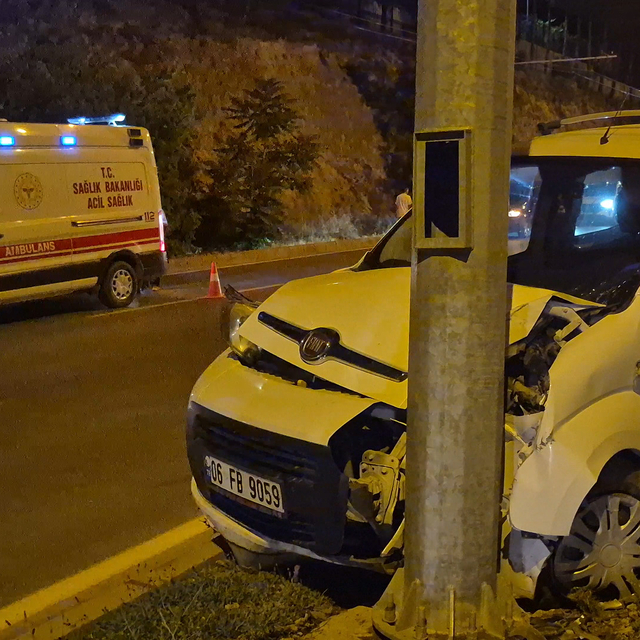 Malatya'da hafif ticari araç, aydınlatma direğine çarptı; 2 yaralı