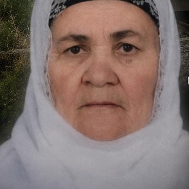 Tatvan'da trenin çarptığı yaşlı kadın hayatını kaybetti