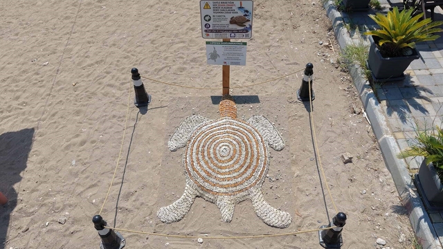 Kemer'de "Dumansız Plaj" uygulaması başladı
5 bin sigara izmaritiyle caretta caretta figürü yapıldı