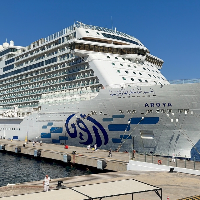 Dev kruvaziyer Bodrum'a demirledi