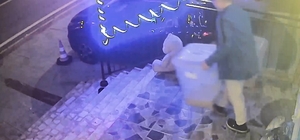 Dükkan önünde mama kutusu hırsızlığı kamerada