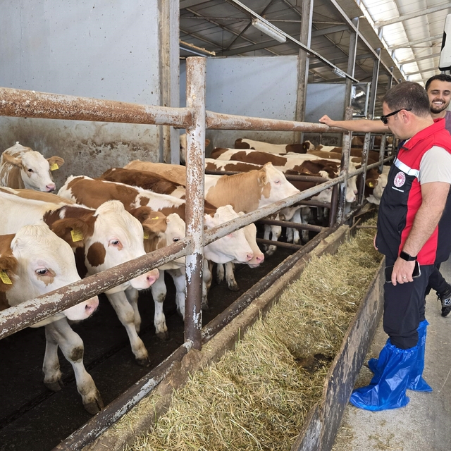 Orhaneli'de hayvan yetiştiren işletmeler kontrol edildi