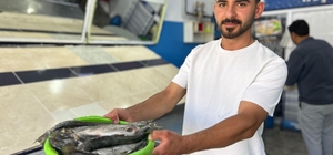 İnci kefali tezgâhlardaki yerini aldı