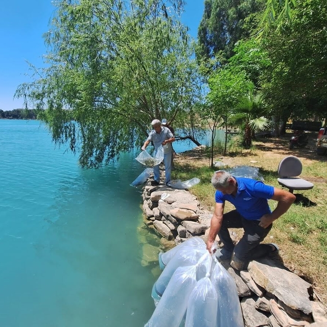 Manavgat'ta 400 bin balık yavrusu baraj gölünde bırakıldı