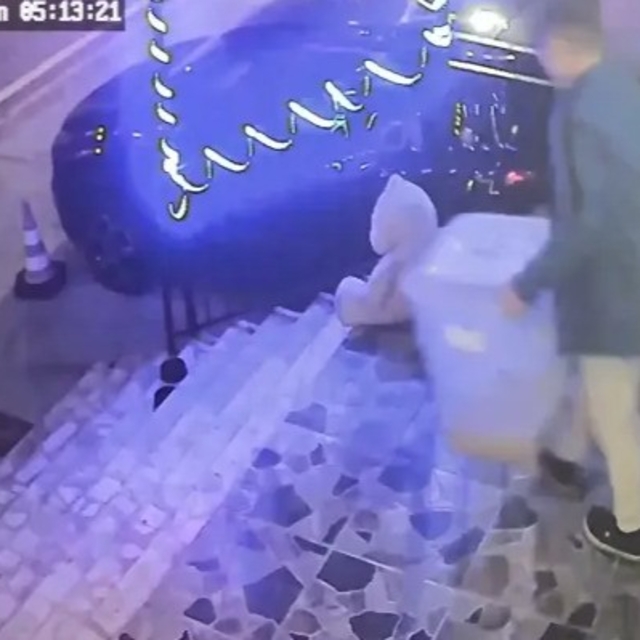 İlginç hırsızlık: Petshop önündeki mama kutusunu çaldı