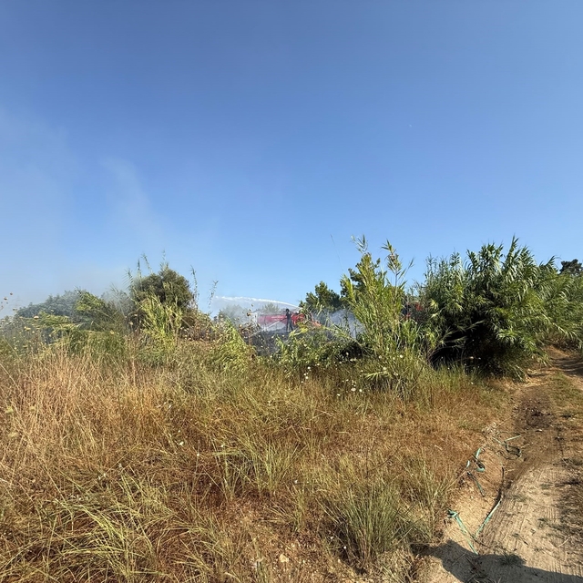 Manavgat'ta kamışlık alanda çıkan yangın söndürüldü