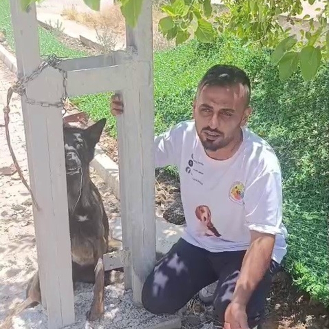 Belçika kurdunu zehirleyip direğe asarak telef ettiler
