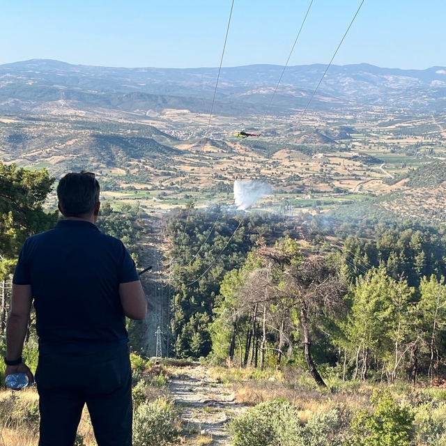 Manisa'da yangında 1.5 hektarlık kızılçam ormanı zarar gördü