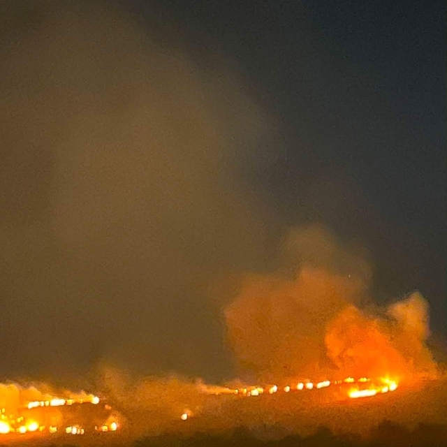 Elazığ'da dağlık alanda yangın paniği