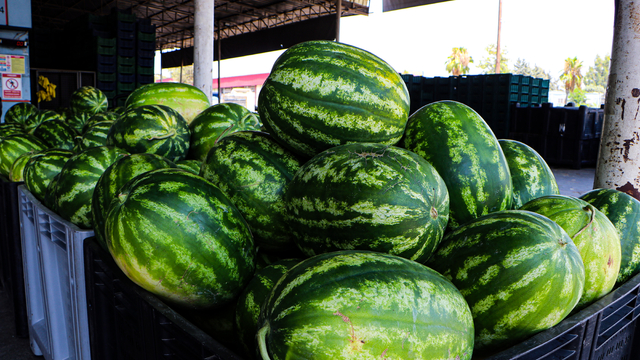 Kilosu 5 TL'ye düşen karpuz, marketlerde 17 TL