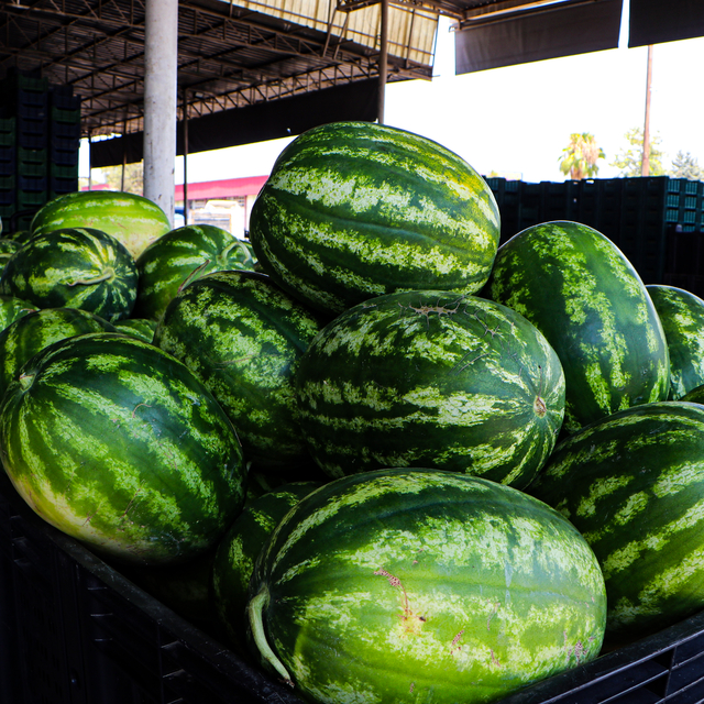 Kilosu 5 TL'ye düşen karpuz, marketlerde 17 TL