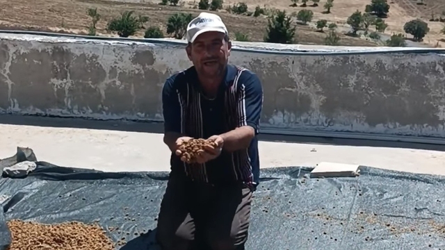Çermik'te dutlar pazardaki yerini aldı