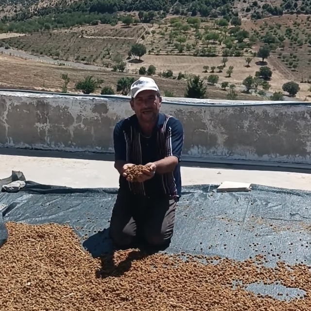 Çermik'te dutlar pazardaki yerini aldı