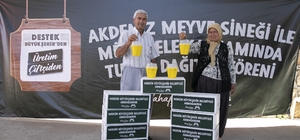 Mersin'de Akdeniz Meyve Sineğine karşı feromon tuzağı desteği