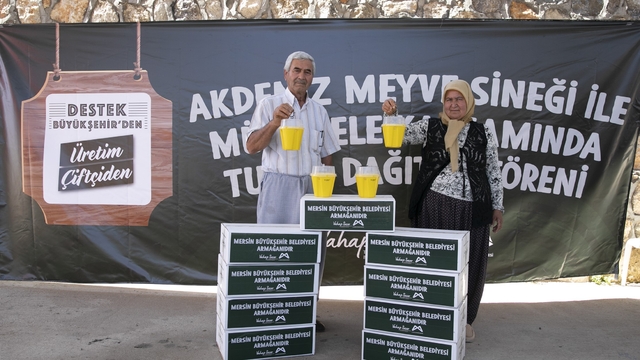 Mersin'de Akdeniz Meyve Sineğine karşı feromon tuzağı desteği