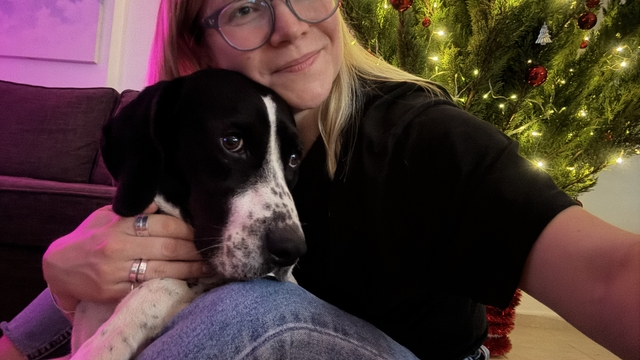 Rus kadın 4 ay önce kaybolan köpeğini 4 ilçede arıyor, binlerce afiş bastırıp her yere asıyor
Kapısına geldiğinde sahiplendiği 'Biba' isimli İngiliz Pointer cinsi köpeğini bulana bin dolar ödül verecek
Yana Berezhetskaia:
"Sayfamda yarım milyondan fazla kişi tarafından görüntülendi ancak ne yazık ki dört aydır köpeğimizin nerede olduğuna dair hiçbir bilgiye ulaşamadık"