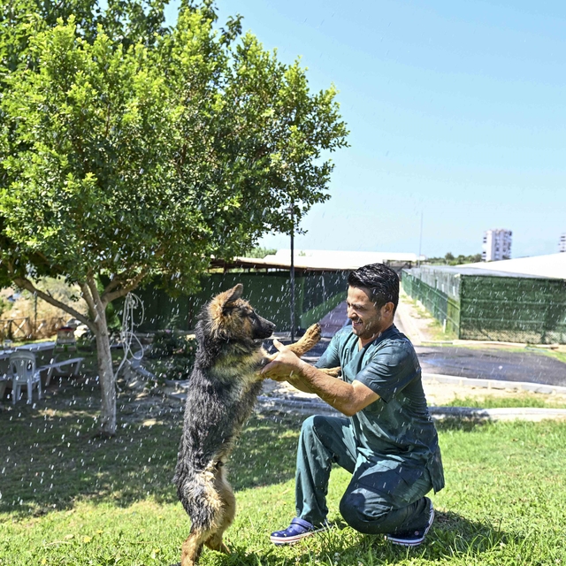 Muratpaşa'dan patili dostlara serin dokunuş