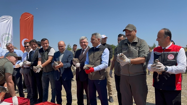 Çamlık Milli Parkı'nda bin keklik doğaya kanat çırptı