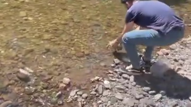 Plastik su bidonuna sıkışan kaplumbağa kurtarıldı