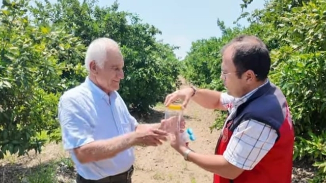 Andırın'da faydalı böcek ile doğal mücadele