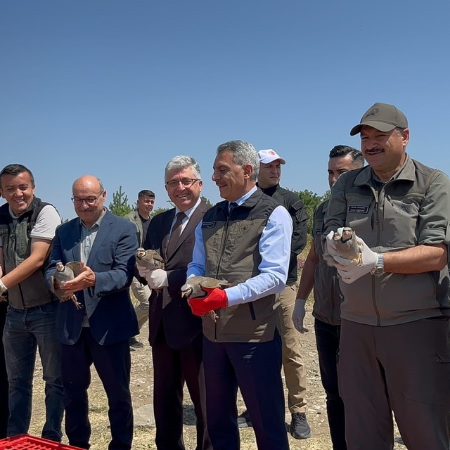 Çamlık Milli Parkı'nda bin keklik doğaya kanat çırptı