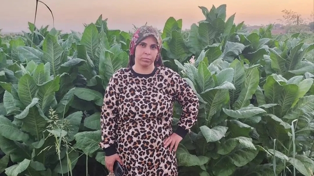 Tarlada beyin kanaması geçiren 3 çocuk annesi yaşamını yitirdi