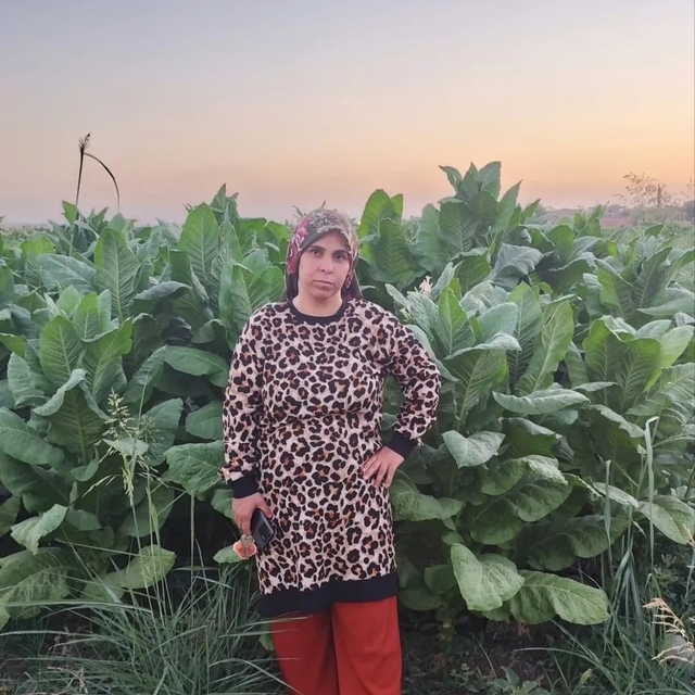 Tarlada beyin kanaması geçiren 3 çocuk annesi yaşamını yitirdi