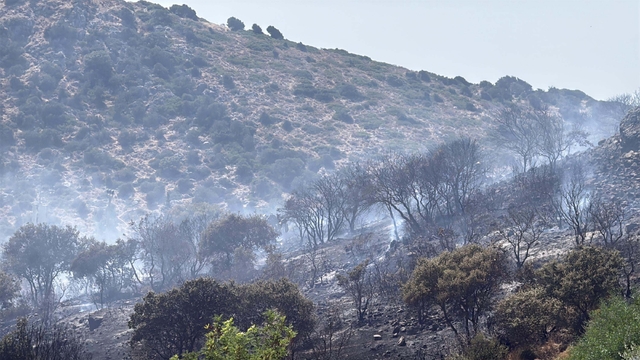 Bodrum'da makilik alanda çıkan yangın kontrol altında