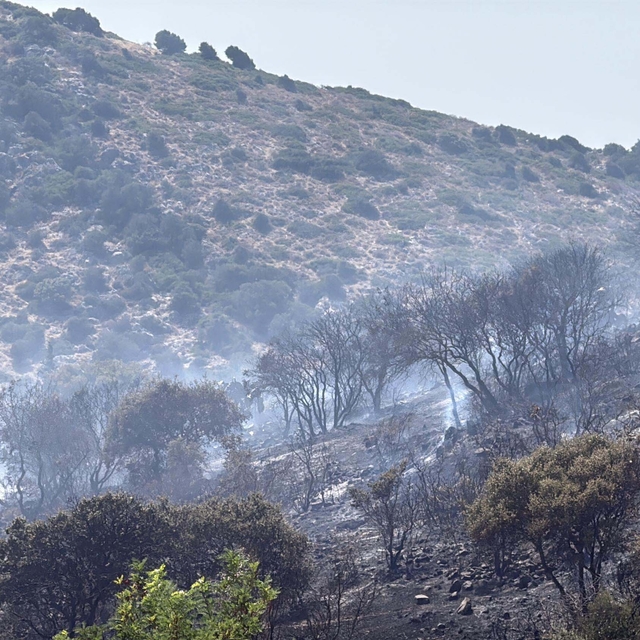 Bodrum'da makilik alanda çıkan yangın kontrol altında