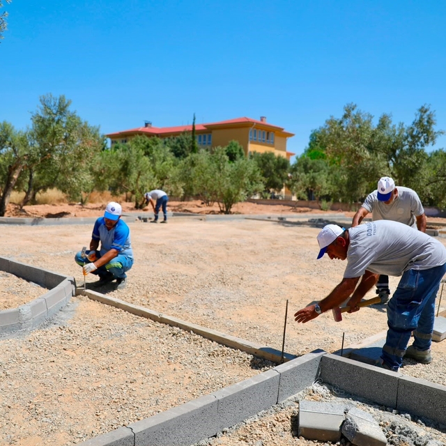 Didim'de Zeytin Park Projesi hayata geçirilecek