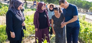 Toprakla buluşan kadınların hasat sevincine Başkan Tugay da ortak oldu