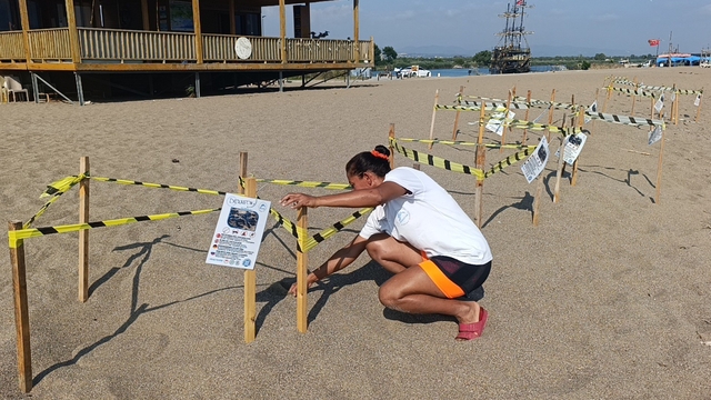 Manavgat'ta caretta caretta yavrularına koruma nöbeti
Sorgun sahilinde caretta caretta yavrularının denize ulaşma süreci başladı
Sorgun sahilindeki 400 yuvadan 20 binin üzerinde yavrunun denize ulaşması bekleniyor
DEKAFOK Başkanı Akyol: "Eylül sonuna kadar aynı duyarlılığı sürdürmeliyiz"