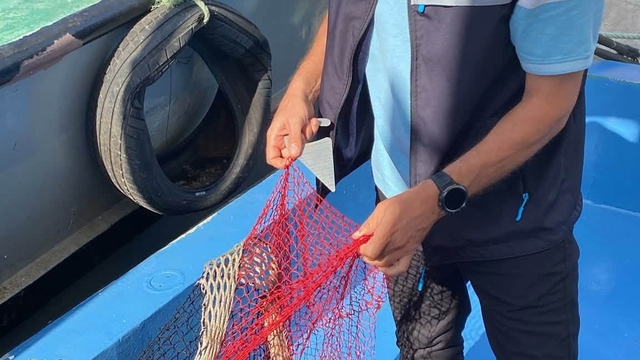 Didim'de balık ağları kontrol edildi