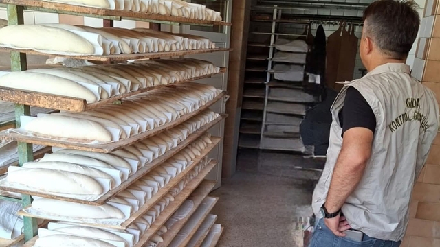 Tekirdağ'da ekmek üretim yerlerinde eş zamanlı denetim