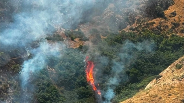 Elazığ'da dağlık alanda yangın
