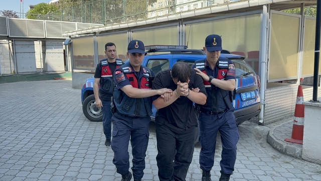 Odunluğa saklanan 4 bin 531 uyuşturucu hap ele geçirildi: 1 tutuklama