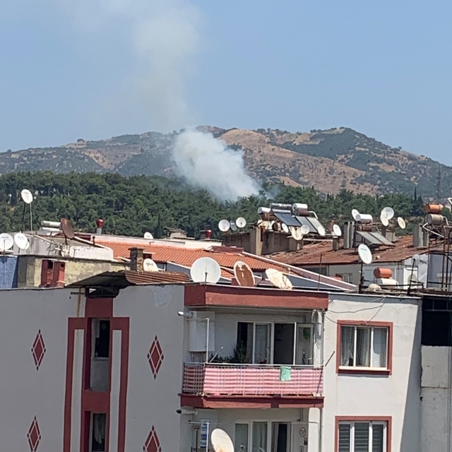 Mesire alanındaki yangın kısa sürede söndürüldü