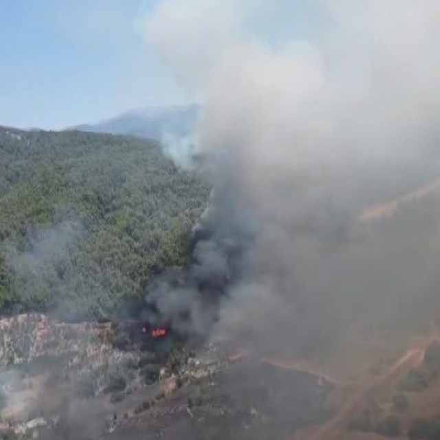 Kuyucak'ta orman yangını