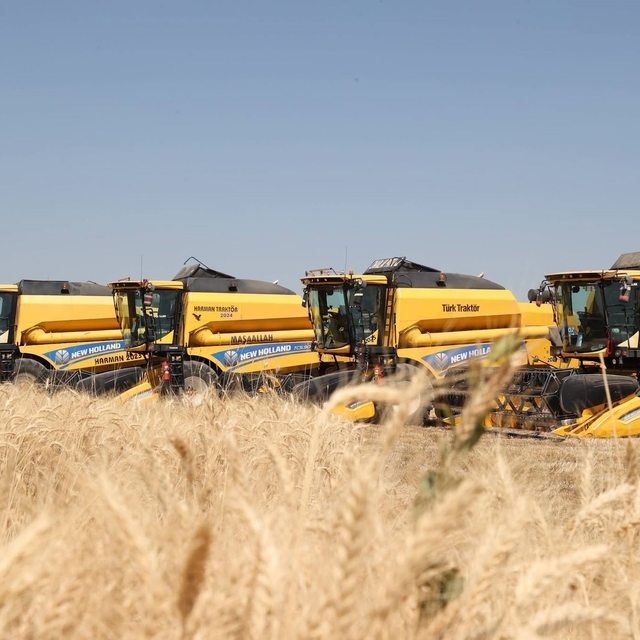 Hububat hasadından Muş ekonomisine 11 milyar liralık katkı bekleniyor