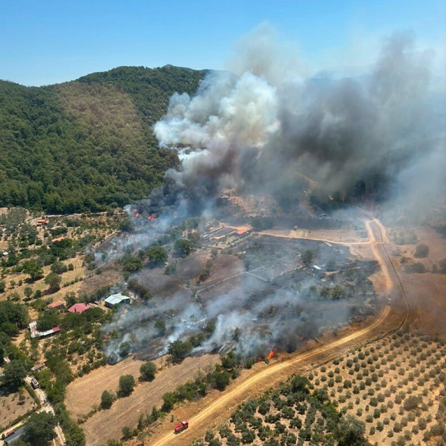 Muğla'da orman yangını