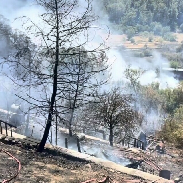Muğla'da orman yangını (2)