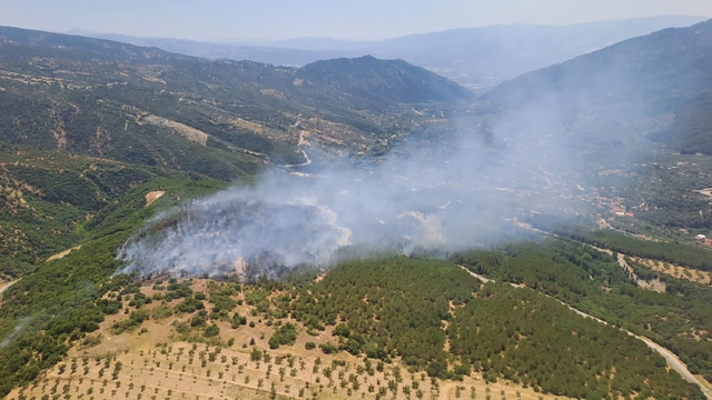 Aydın'da orman yangını (2)